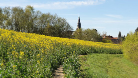 Agriculture & Ecosystems
